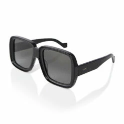 Loewe Oversized Square Sunglasses -Loewe Shop unnamed file 1403