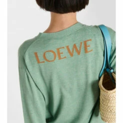 Loewe X Howl's Moving Castle Heen Wool And Cashmere Cardigan -Loewe Shop unnamed file 163