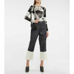 Loewe Gate Dual Mini Leather And Jacquard Shoulder Bag -Loewe Shop unnamed file 1731