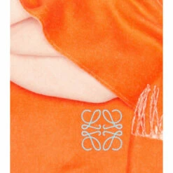 Loewe Wool And Cashmere Scarf -Loewe Shop unnamed file 1866