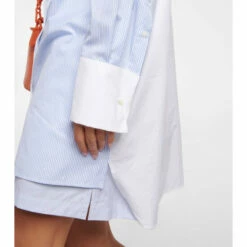 Loewe Pinstriped Cotton Poplin Shirt -Loewe Shop unnamed file 2232