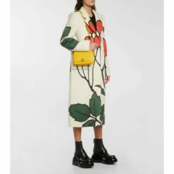 Loewe Goya Small Leather Crossbody Bag -Loewe Shop unnamed file 2614