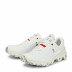 Loewe Shop -Loewe Shop unnamed file 3032