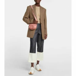 Loewe Gate Dual Mini Leather Shoulder Bag -Loewe Shop unnamed file 347