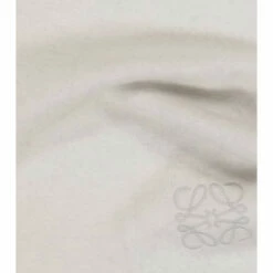 Loewe Wool And Cashmere Scarf -Loewe Shop unnamed file 589